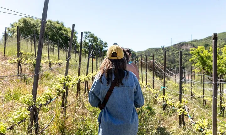 Malibu: Guided Vineyard Hike with Photo Stops and Wine