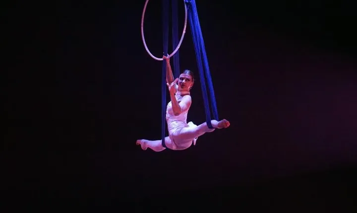 Private Tour: Shanghai Acrobatic Show and Authentic Dim Sum
