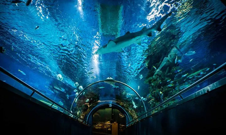 Budapest Tropicarium
