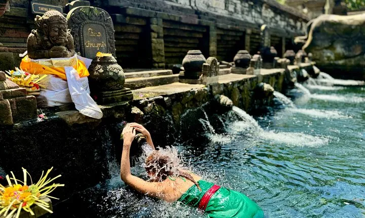 Ubud Tegalalang Private Car Tour