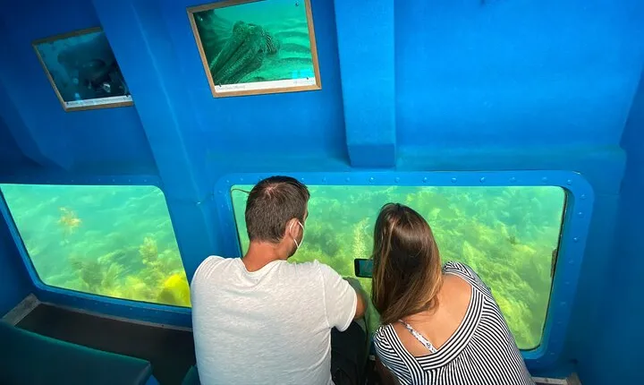 Underwater viewing tours along the coast of Sesimbra