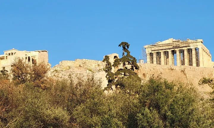 Native English Speaking drivers of Greek descent to Tour Athens