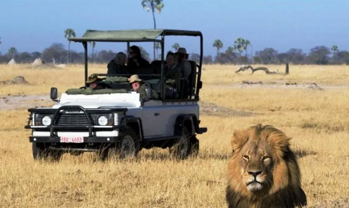 2-Day Camping Safari in Chobe National Park from Victoria Falls
