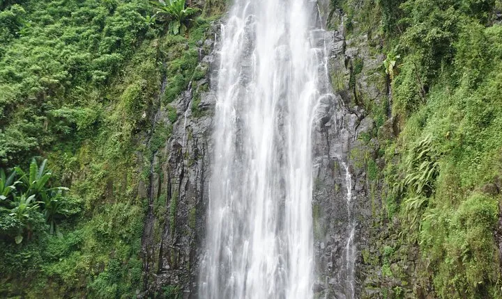 Day trip Materuni Waterfalls and Coffee Tour