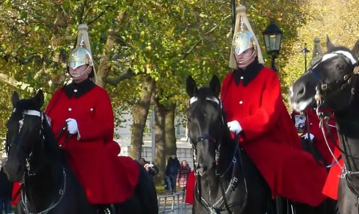 Private Walking Tour of Royal London with Changing of the Guard