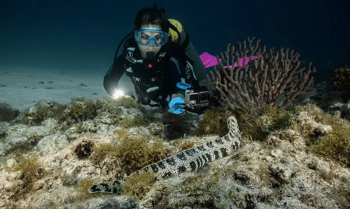 Full Day Private Scuba Diving in Espiritu Santo Island
