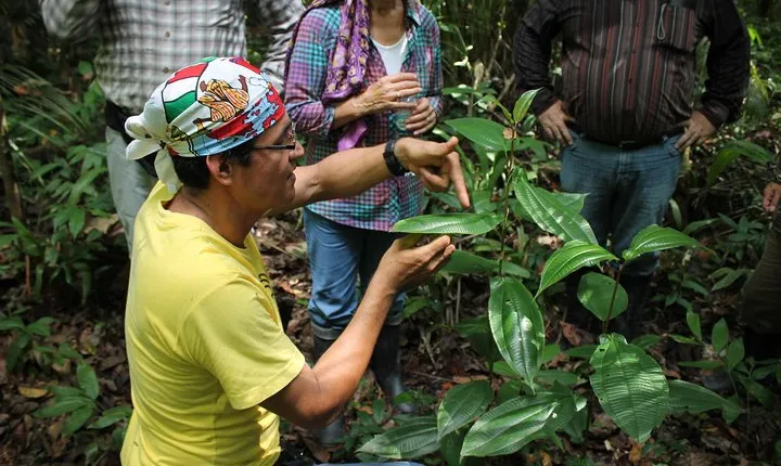 Amazon Untamed Expedition 3 Days and 2 Nights pacaya samiria