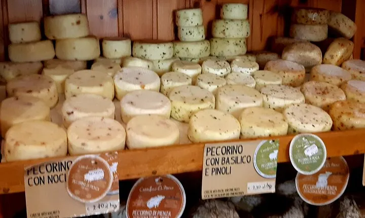 Wine and Cheese tour in Chianti: A Gourmet Experience