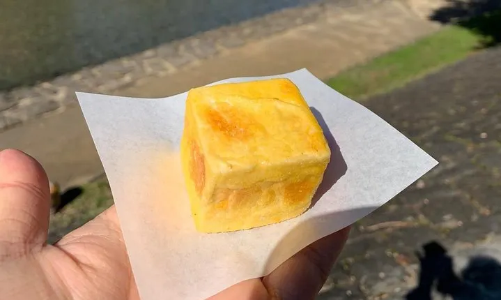 Special Food and Sake Factory Tour in Takayama