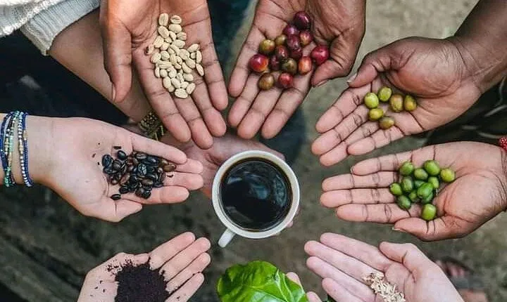 Day trip to Maasai village + Materuni waterfalls and coffee tour 