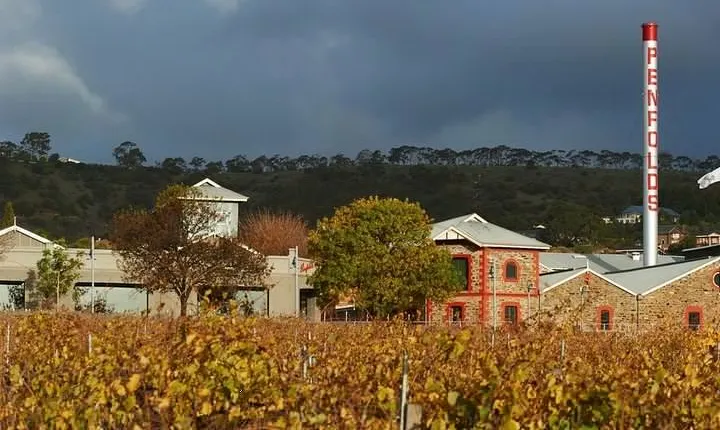 Penfolds Magill Estate Iconic Experience
