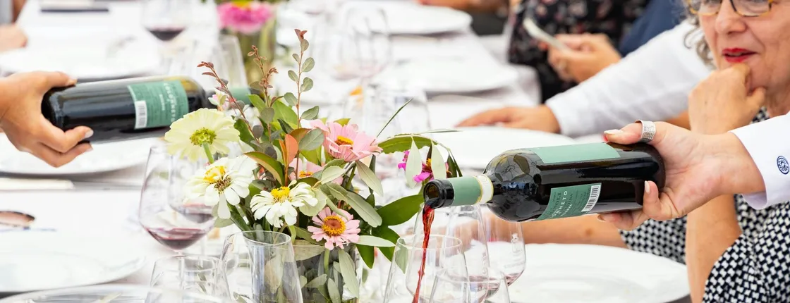 Villa Travignoli guided winery tour with wine tasting and lunch