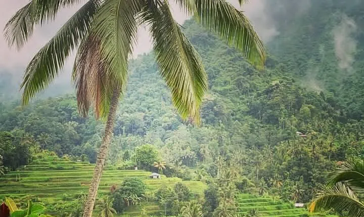 Bali : Customized 2 Days round Trip North Middle Bali