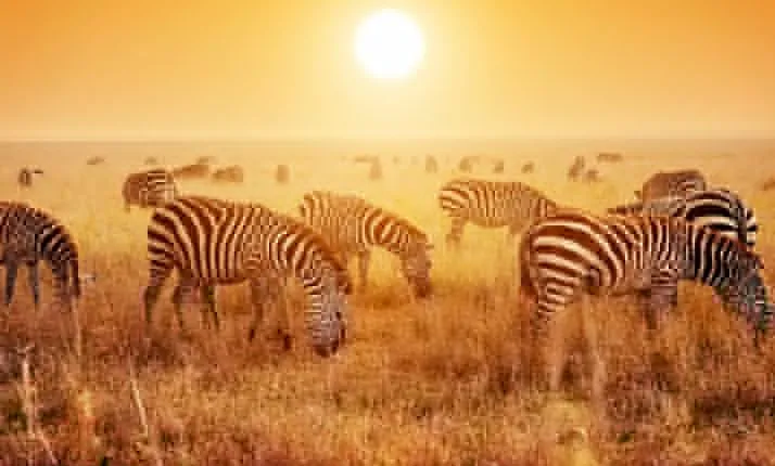 3-Day Lodge Safari-Tarangire, Manyara, Ngorongoro Crater