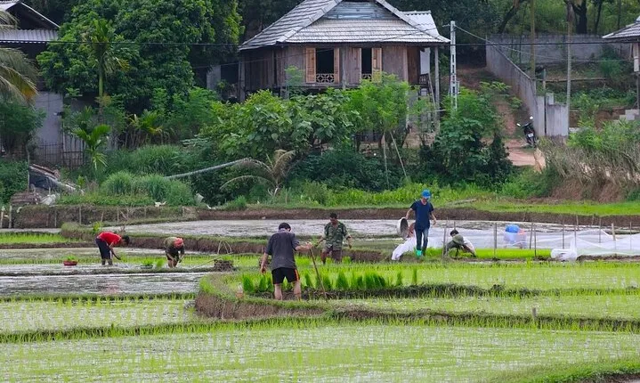 Discover Mai Chau's Hidden Beauty: Cycling in Rural Villages