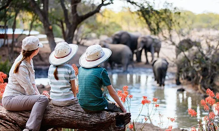 7 Days Best Luxury Safari To Tanzania