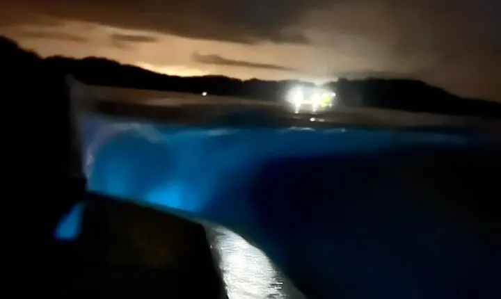 Bioluminescence Tour by Boat