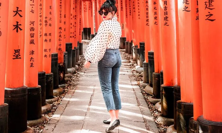 Kyoto and Nara Day Tour from Osaka or Kyoto