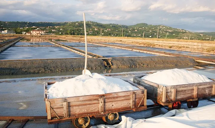 Skocjan caves & Secovlje salt pans | Private off cruise excursion from Koper