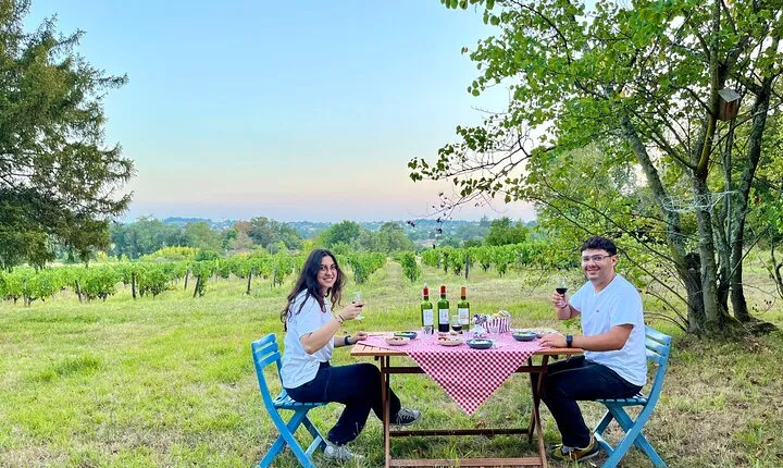 Private Tour in 2cv in the Vineyards with Tasting and Picnic