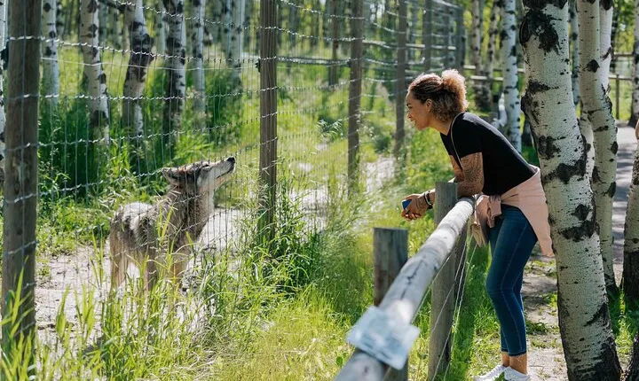 Yamnuska Wolfdog Sanctuary Walk Ticket in Canada