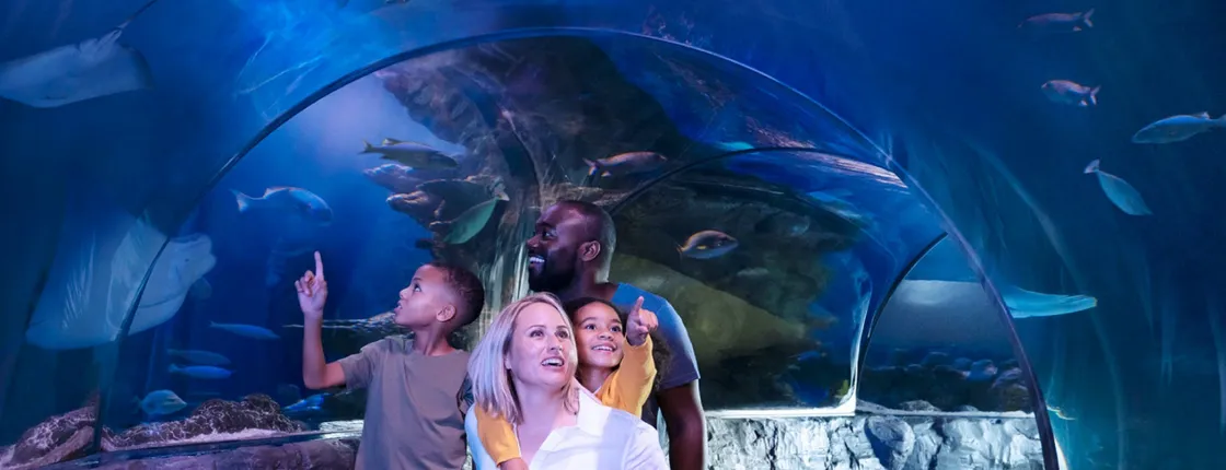 New Jersey's SEA LIFE admission tickets