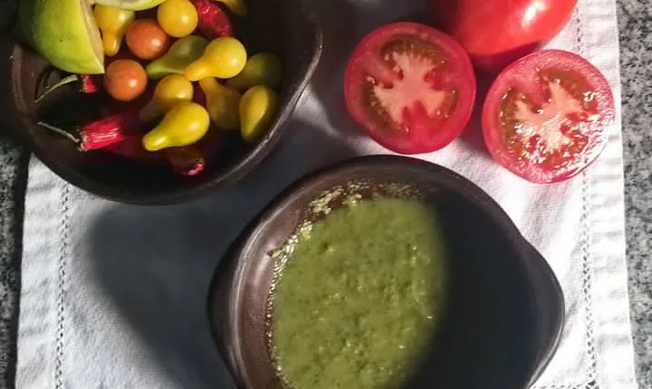 Traditional Chilean Cooking Class with a Local in Her Santiago Countryside Home