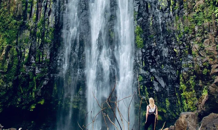Private Day Trip to Materuni Waterfall and Coffee Tour 