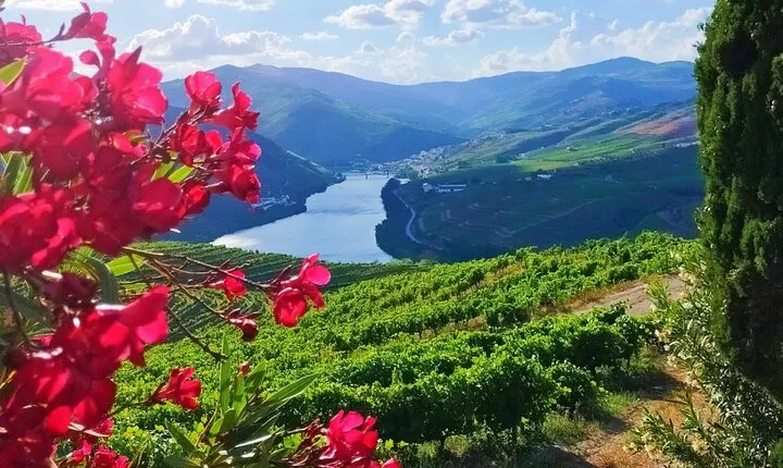 Douro Valley tour from Porto