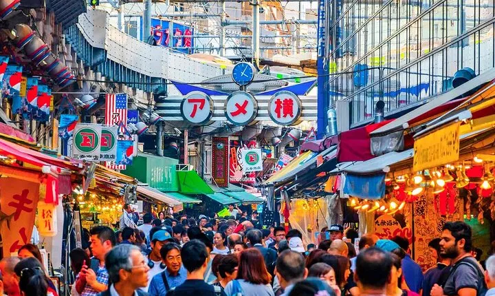 Tokyo Shopping Street Hopping Private Tour with Government Licensed Guide