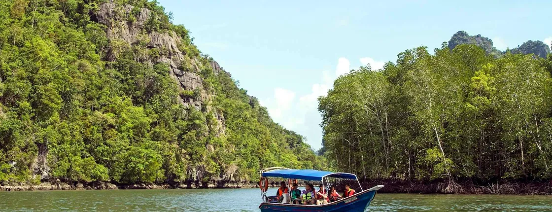 Langkawi mangrove river cruise half-day experience