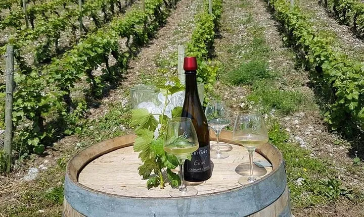 Private Wine tasting trip to Peloponnese with Pick up