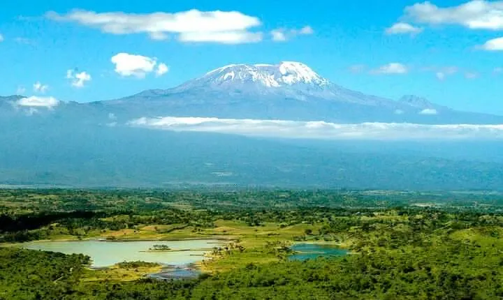 From Arusha: 7 Days Classic Safari Central Northern Circuit