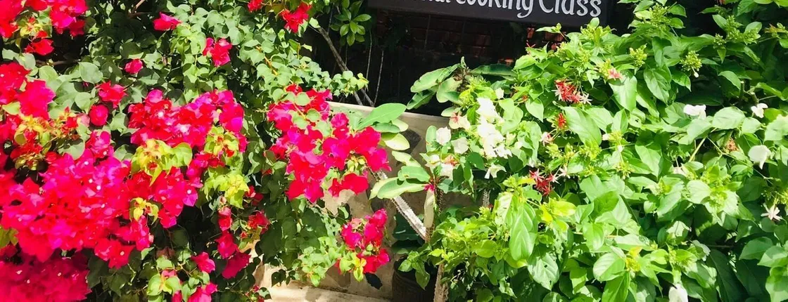 Half-day Pui's Thai cooking class from Khao Lak