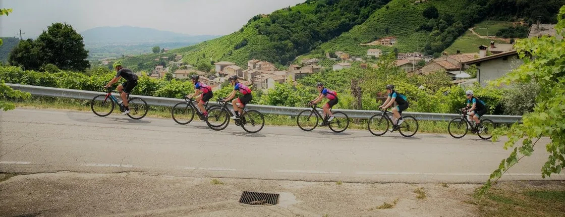 Bike tour on the Prosecco wine route