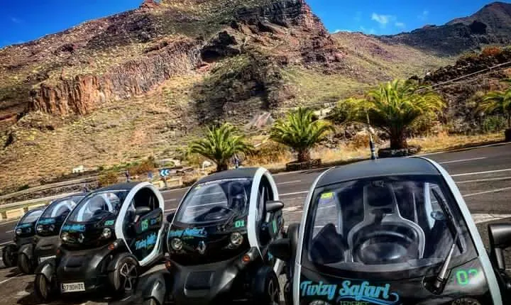 4 Hours Eco Safari Tour with Electric Car in Tenerife