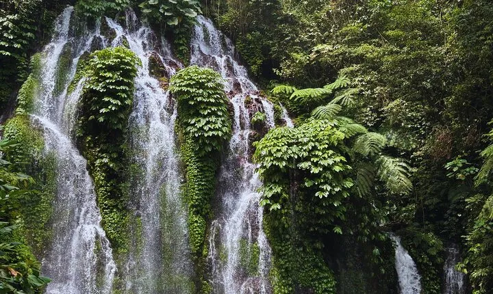 North Bali Waterfall Enthusiast Private Tour