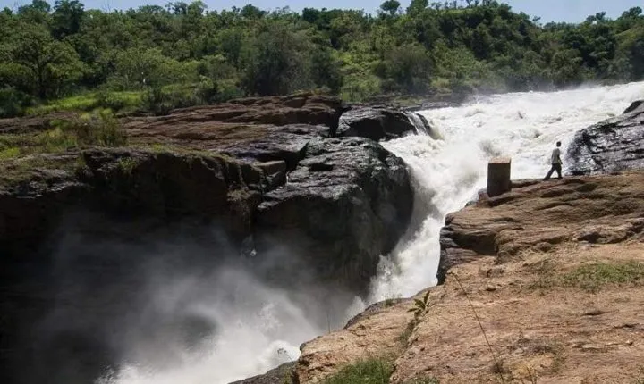 6-Day Murchison Falls and Kidepo NP Wildlife Safari
