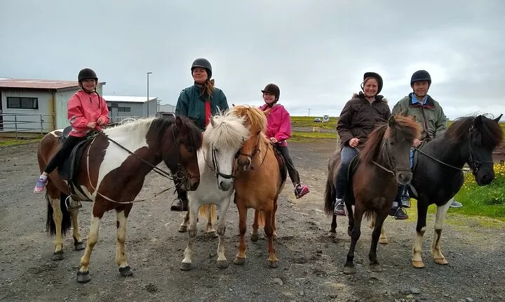 Experience Countryside of Iceland by Horseback Riding