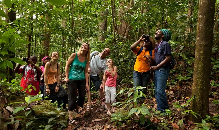 St Lucia Rainforest Walk