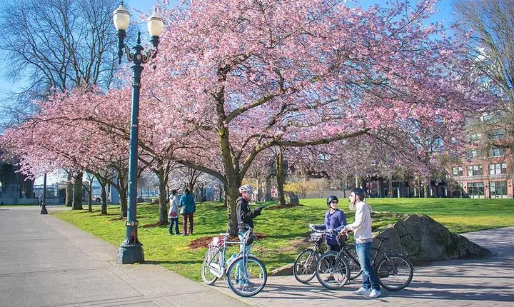 Essential Portland Oregon Bike and E-Bike Tour!