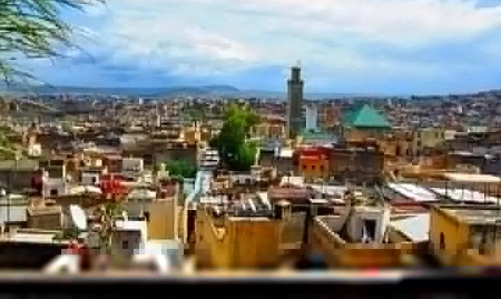 Fez medina and it's secrets : cultural tour (private)