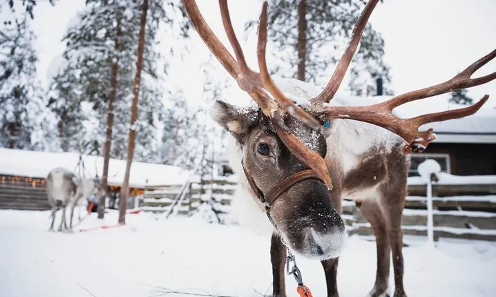 Rovaniemi 2 days Activities Package
