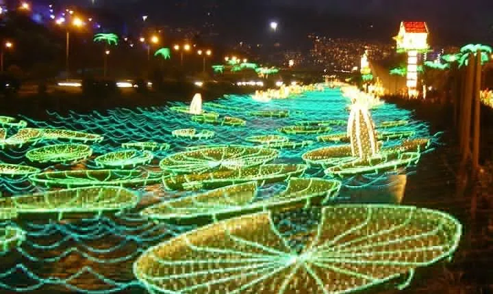 Private Christmas Lights Tour in Medellin