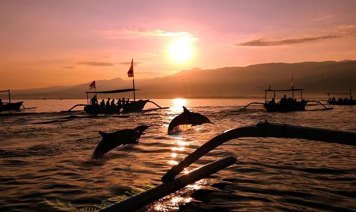 Dolphin Tour and Sunrise Watching in Lovina Beach - All Inclusive