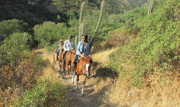 Private Horseback Adventure in the Andes, with Picnic & Wine