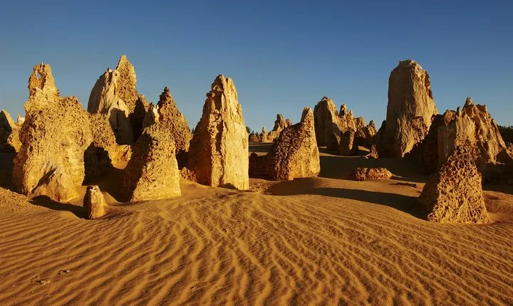 Pinnacles Desert Private Tour