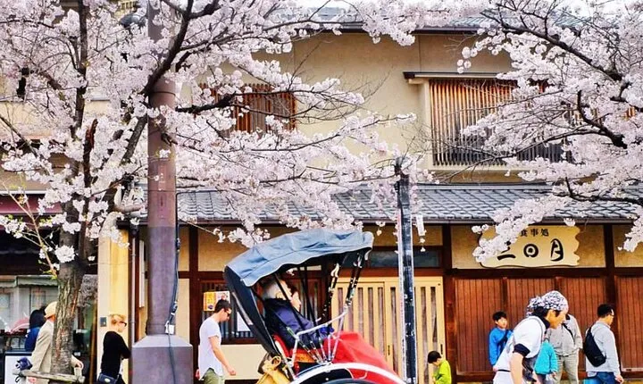 Kyoto Panoramic Day Tour Fushimi Inari Arashiyama and Temples