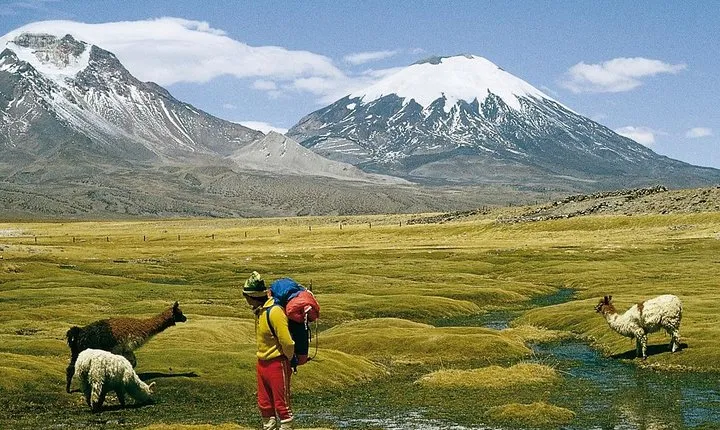 4-Days Unique Experience at the Chilean High Plateau
