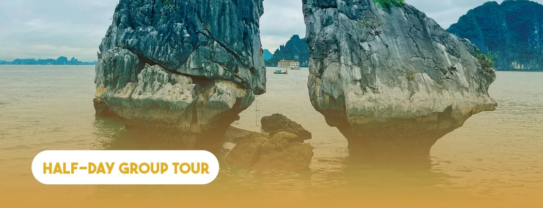 Ha Long Bay cruise and caves half-day tour from Ha Long